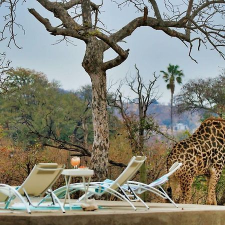 Отель Ngalali Retreat Grietjie Game Reserve Экстерьер фото