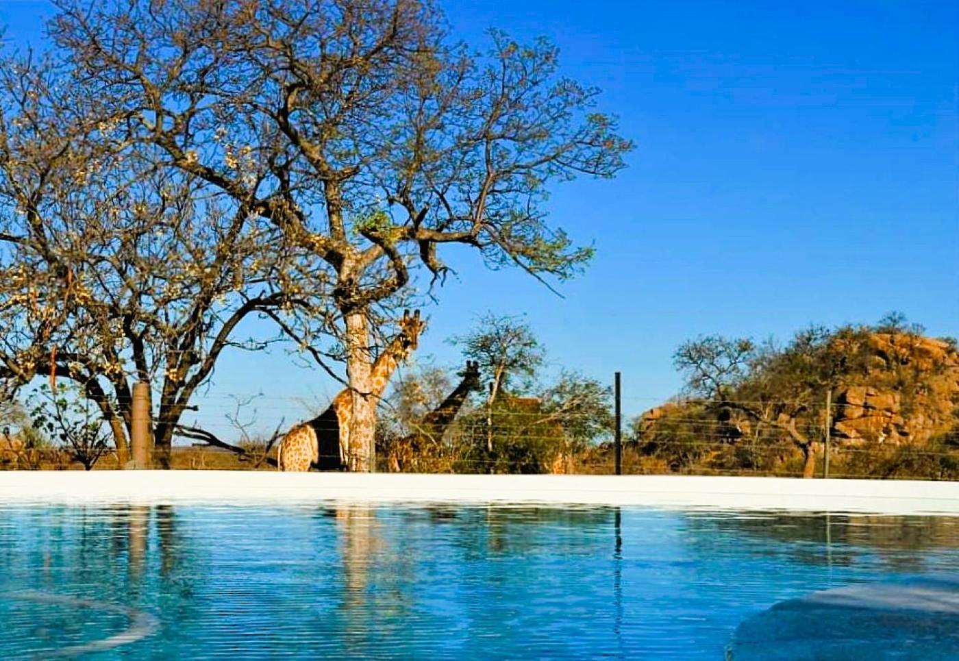 Отель Ngalali Retreat Grietjie Game Reserve Экстерьер фото