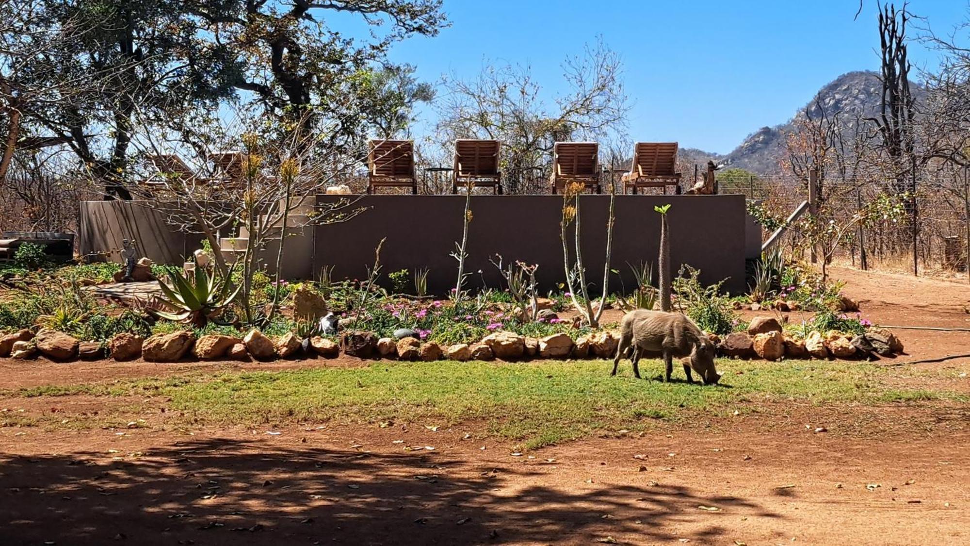 Отель Ngalali Retreat Grietjie Game Reserve Экстерьер фото