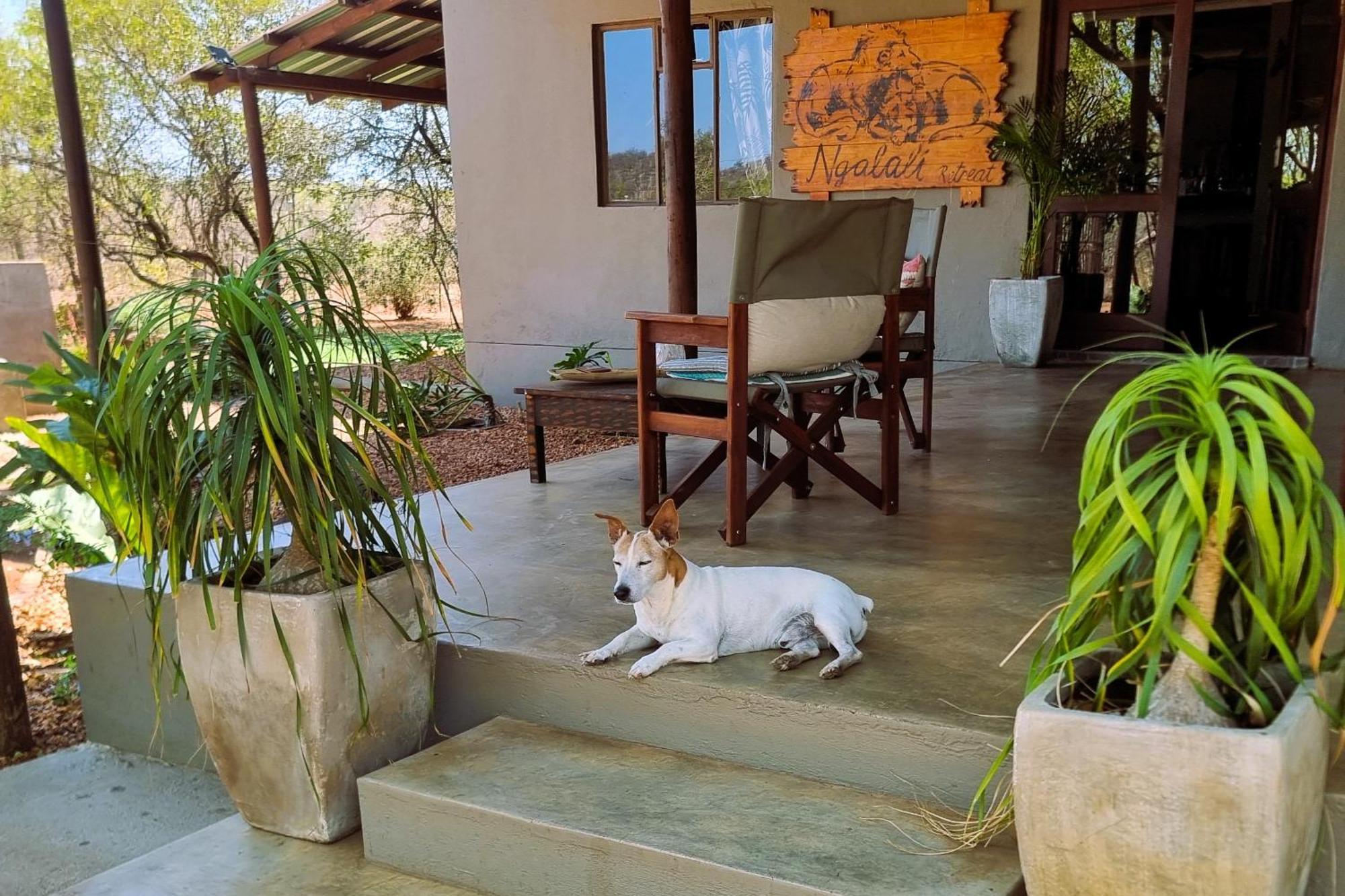 Отель Ngalali Retreat Grietjie Game Reserve Экстерьер фото