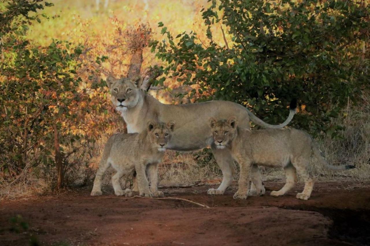 Отель Ngalali Retreat Grietjie Game Reserve Экстерьер фото