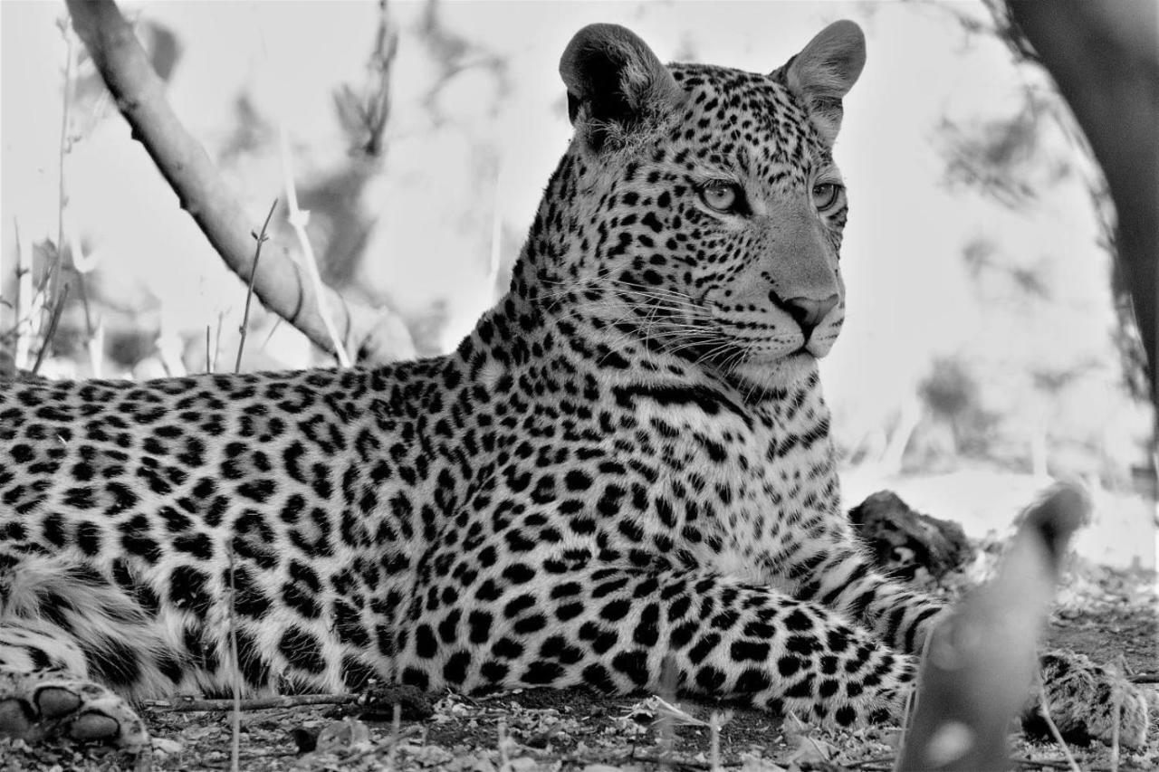 Отель Ngalali Retreat Grietjie Game Reserve Экстерьер фото