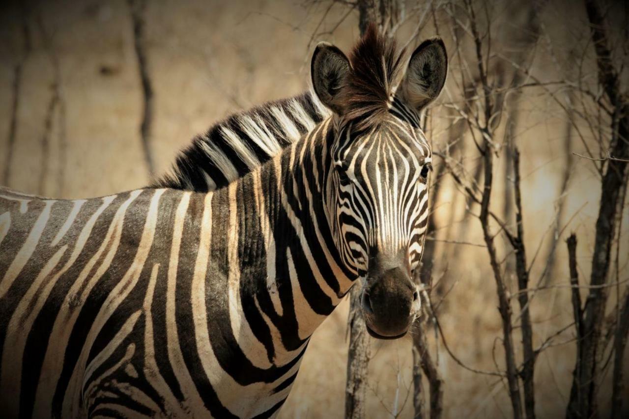 Отель Ngalali Retreat Grietjie Game Reserve Экстерьер фото