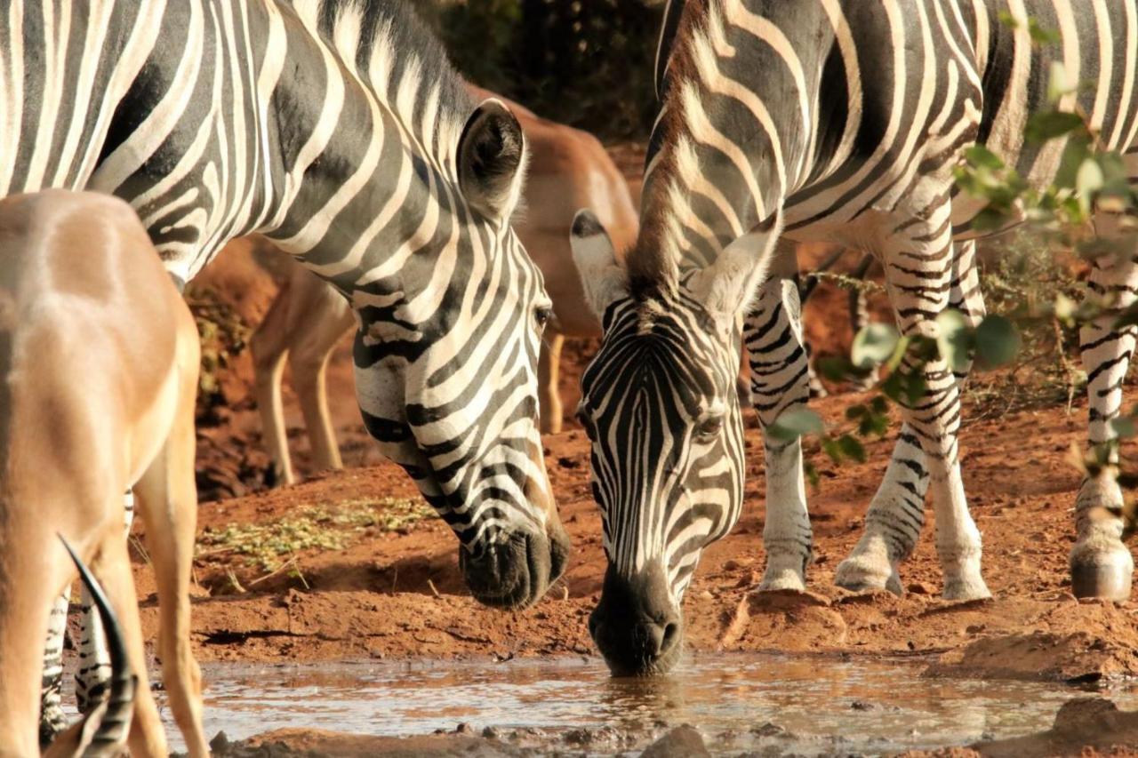 Отель Ngalali Retreat Grietjie Game Reserve Экстерьер фото
